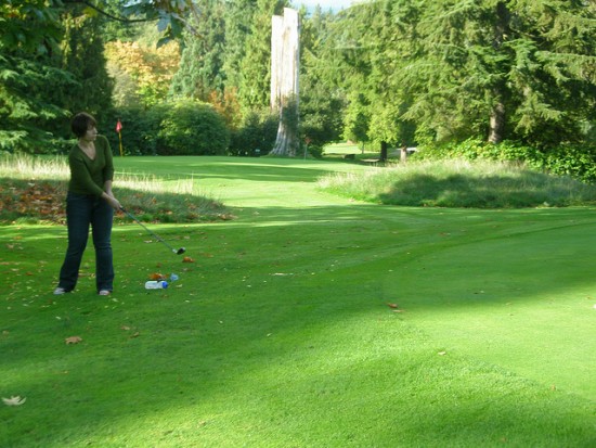 Vancouver pitch n putt golf 