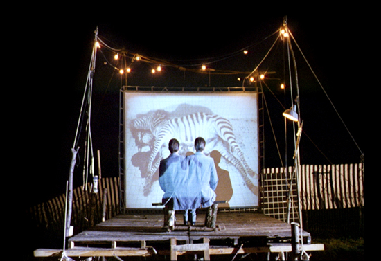 Peter Greenaway - Zoo (A Zed & Two Noughts)