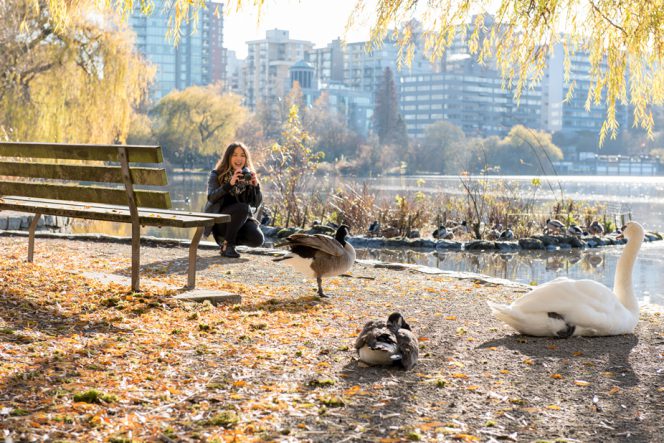 Žena fotografuje kachny, husy a labutě u Lost Lagoon ve Stanley Parku, Vancouver, BC