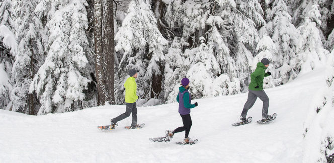 A group of snowshoers at Grouse Mountain near Vancouver