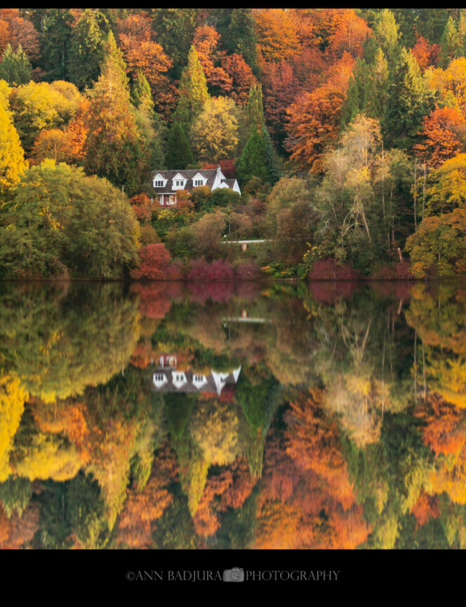 Fall colours at Deer Lake in Burnaby