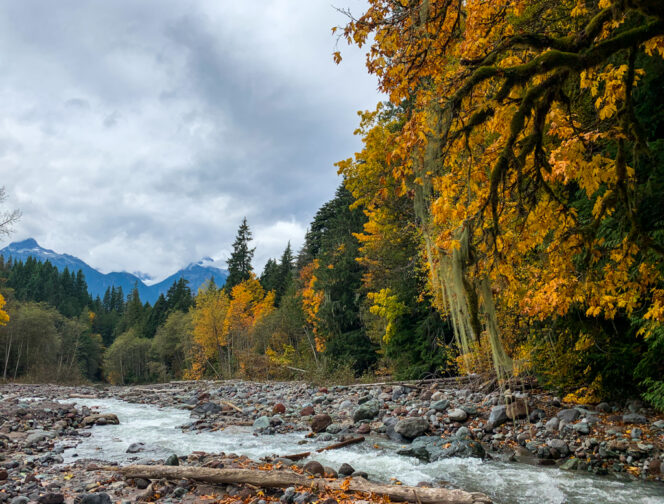 Fall colours along the Four Lakes Loop Trail in Squamish near Vancouver, BC