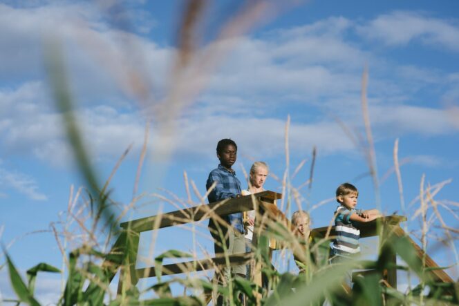 Children on a viewing platform at the Chilliwack Corn Maze near Vancouver