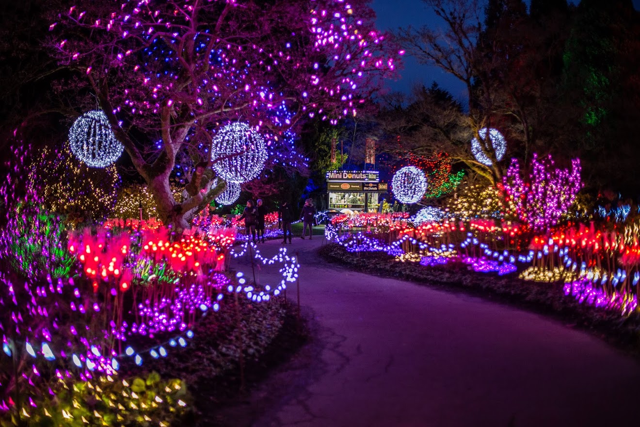 See Vancouver Sparkle this Winter with VanDusen Festival of Lights
