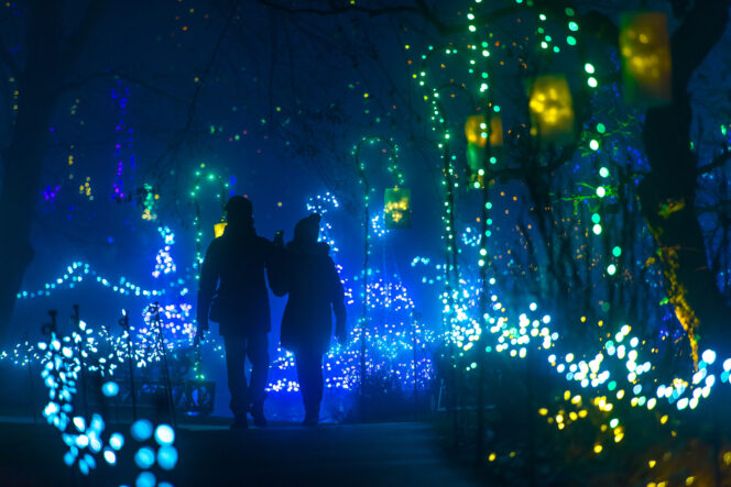 VanDusen Botanical Garden with Christmas lights; support local this holiday season