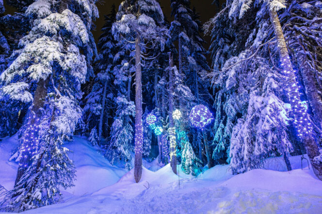 LIghts to the Lodge at Cypress Mountain