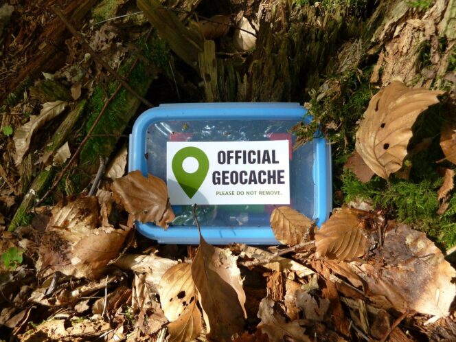 A geocache surrounded by leaves