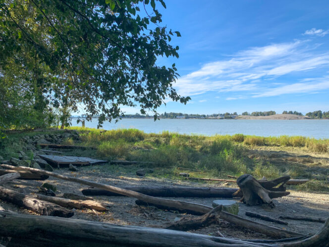 February's Vancouver Hike of the Month: Deas Island - Inside Vancouver  BlogInside Vancouver Blog