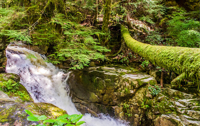 Cypress Falls in West Vancouver