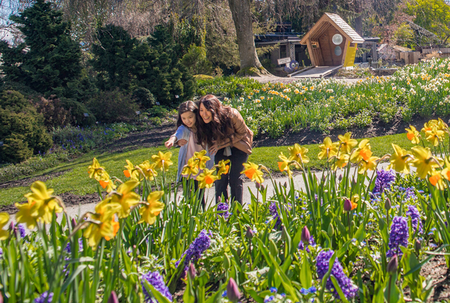 A mother and daughter admire flowers at VanDusen Garden