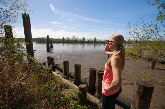 A woman looks at the River from the Pitt River Regional Greenway