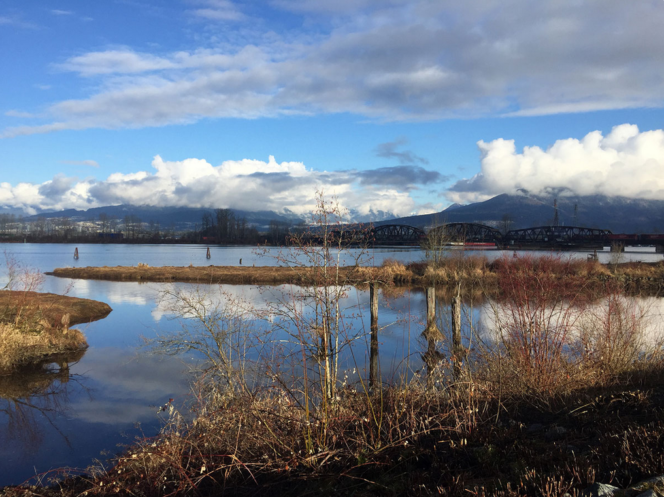 View of the Pitt River from the Pitt River Regional Greenway