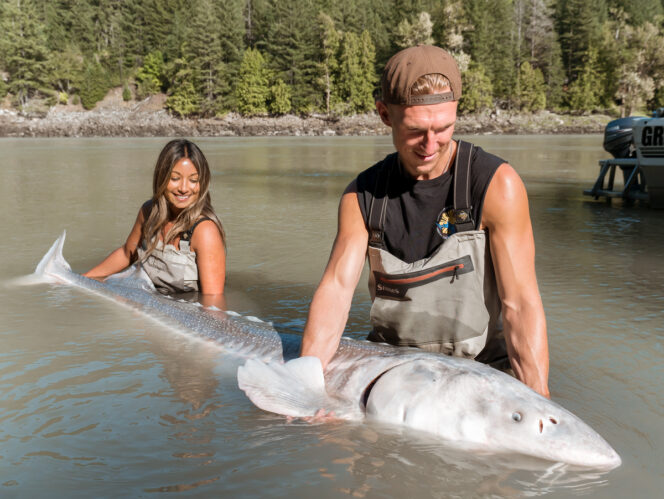 Two people holding a sturgeon in the Fraser River near Vancouver