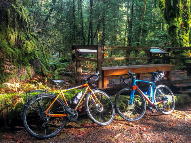 Two gravel bikes leaning against a fence in the Lower Seymour Conservation Reserve in North Vancouver