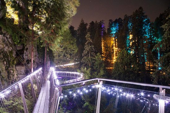 Christmas lights at the Capilano Suspension bridge Canyon Lights event