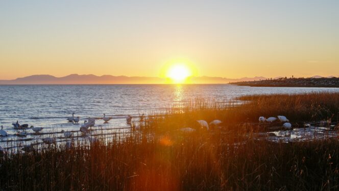 Sunset at Iona Beach Regional Park