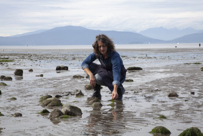 Chef Robin Kort of Swallow Tail Tours foraging on the beach