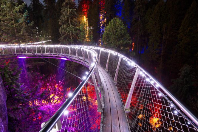 Cliffwalk at Capilano Suspension Bridge illuminated as part of the Love Lights Event