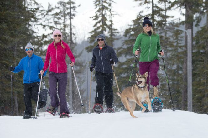 A group of people snowshoes with a dog
