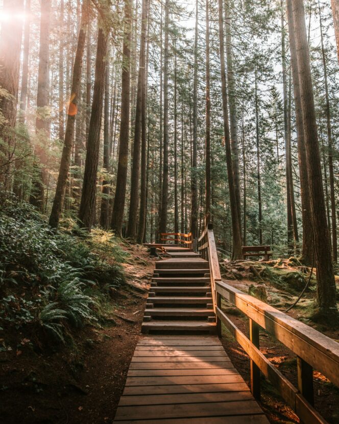 Boardwalks and stairs on the Baden Powell Trail in North Vancouver