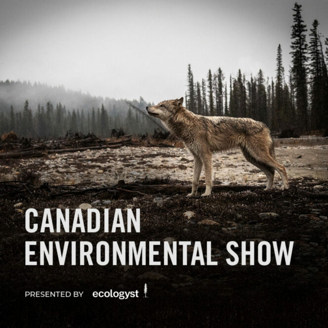 Promotional poster for VIMFF 2022 Canadian Environmental Show