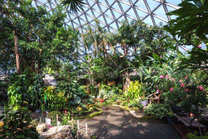 A path winds through tropic plants underneath a glass dome at the Bloedel Conservatory in Vancouver