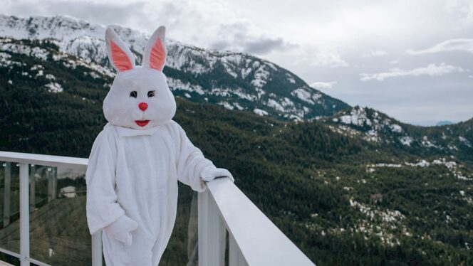 Easter bunny at the Sea to Sky Gondola
