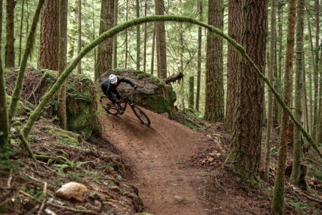A mountain biker on the Pamplemousse Trail in Alice Lake Provincial Park in Squamish