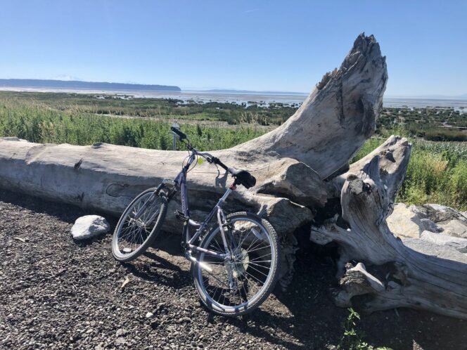 Biking on the Dyke Trail in Boundary Bay Regional Park