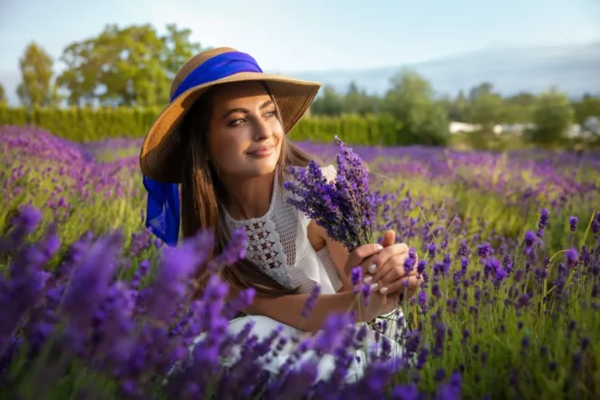 A woman picks lavender at Full Bloom Lavender near Vancouver