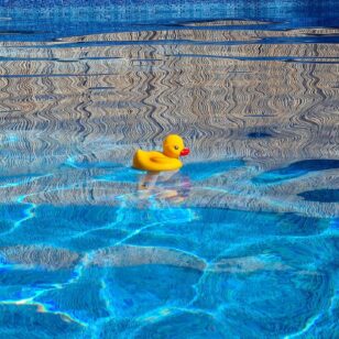A duck floats in a wading pool