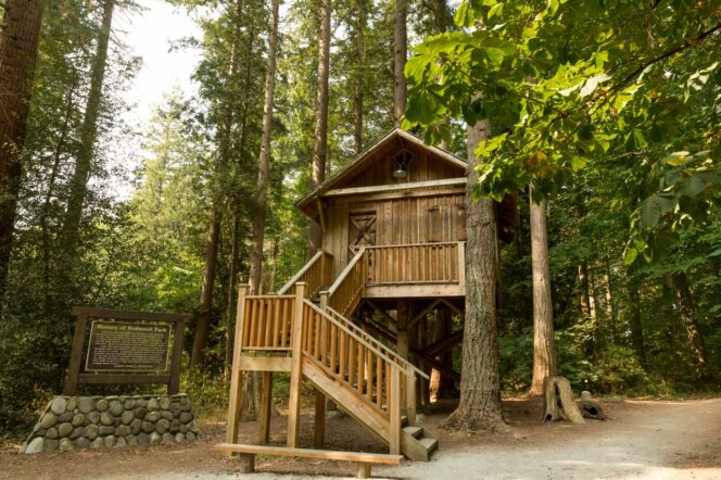 Treehouse at Redwood Park in Surrey