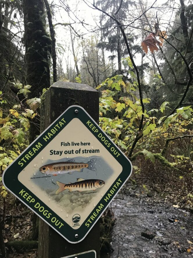 Salmon stream habitat sign in Tynehead Regional Park