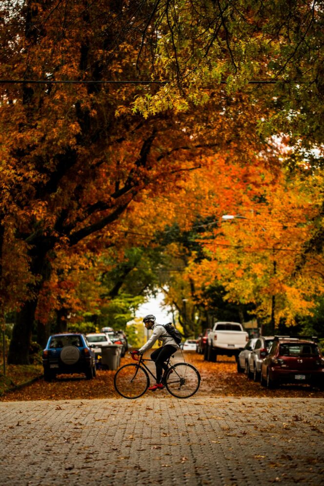 A cycist pedals past fall leaves in Vancouver's West End