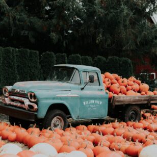 Pumpkin patch display at Willowview Farms near Vancouver