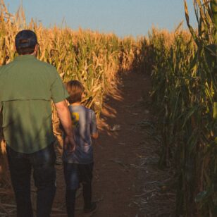 A father and son walk through a corn maze.