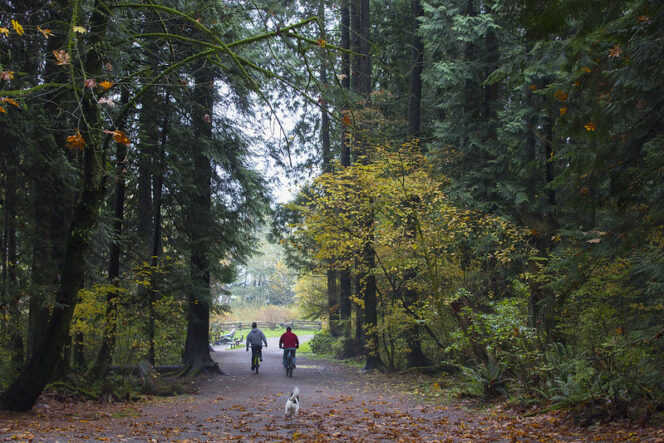 Off-leash trails at Mundy Park in Coquitlam