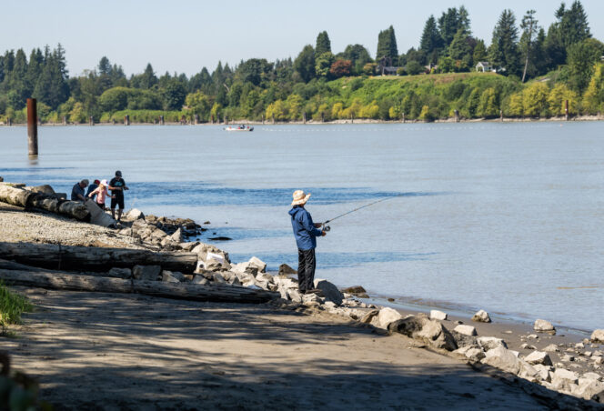 People explore the shore of the Fraser River at Derby Reach Regional Park