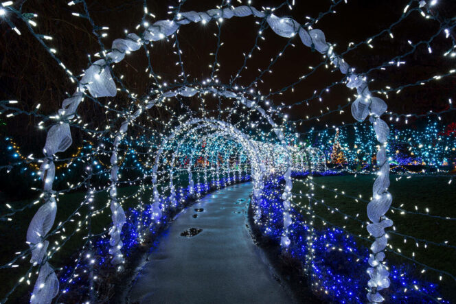 Christmas lights at VanDusen Gardens in Vancouver