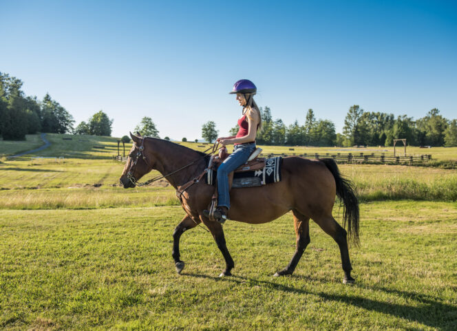 Horseback Rider in Campbell Valley Regional Park