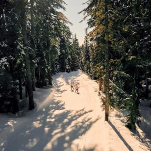 Cross-country skiing through the forest at Cypress Mountain.