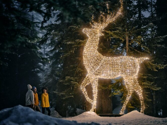 A group of people look at a lit up sculpture on the Grouse Mountain Light Walk