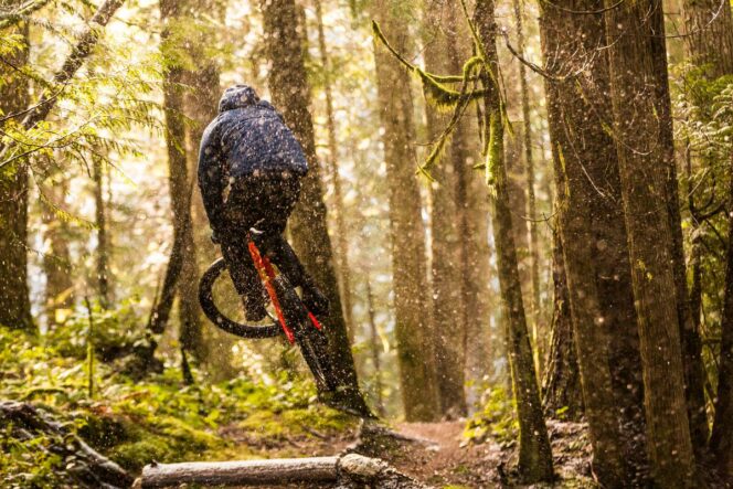 A mountain biker hits a jump in a mossy forest.
