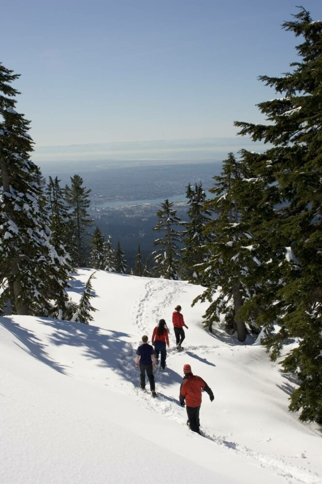Group snowshoeing on the Discovery Trails with views of Vancouver city at Mount Seymour in North Vancouver.