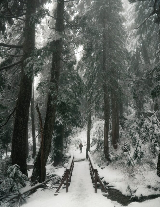 A snowshoer at the start of the trail to Dog Mountain in Mount Seymour Provincial Park