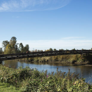 Millennium Bridge in Colony Farm Regional Park