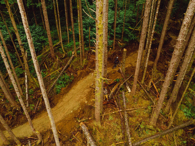 A mountain biker rides on a freshly built trail through the rainforest in a still from the film Muuxtuu - First of Many Together
