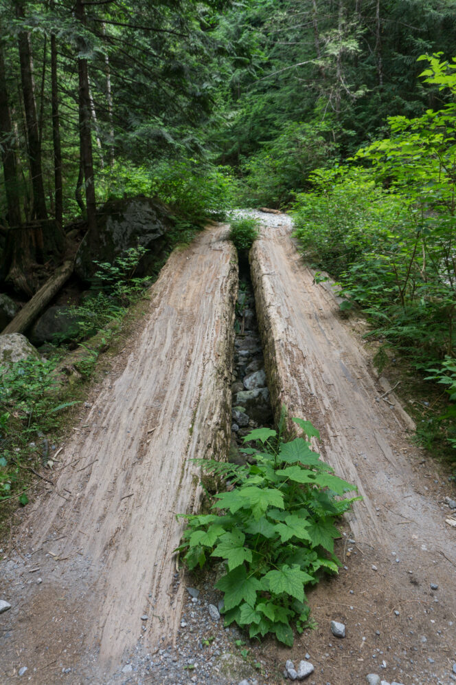 Old logging bridge on the East Canyon Trail in Golden Ears Provincial Park