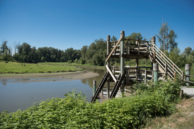 Wooden wildlife observation tower in the Riverfront section of Kanaka Creek Regional Park