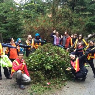 Volunteers with the Stanley Park Ecological Society remove invasive Ivy.